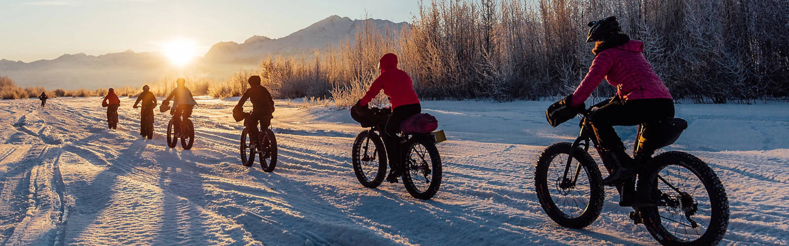 Fat Bikes