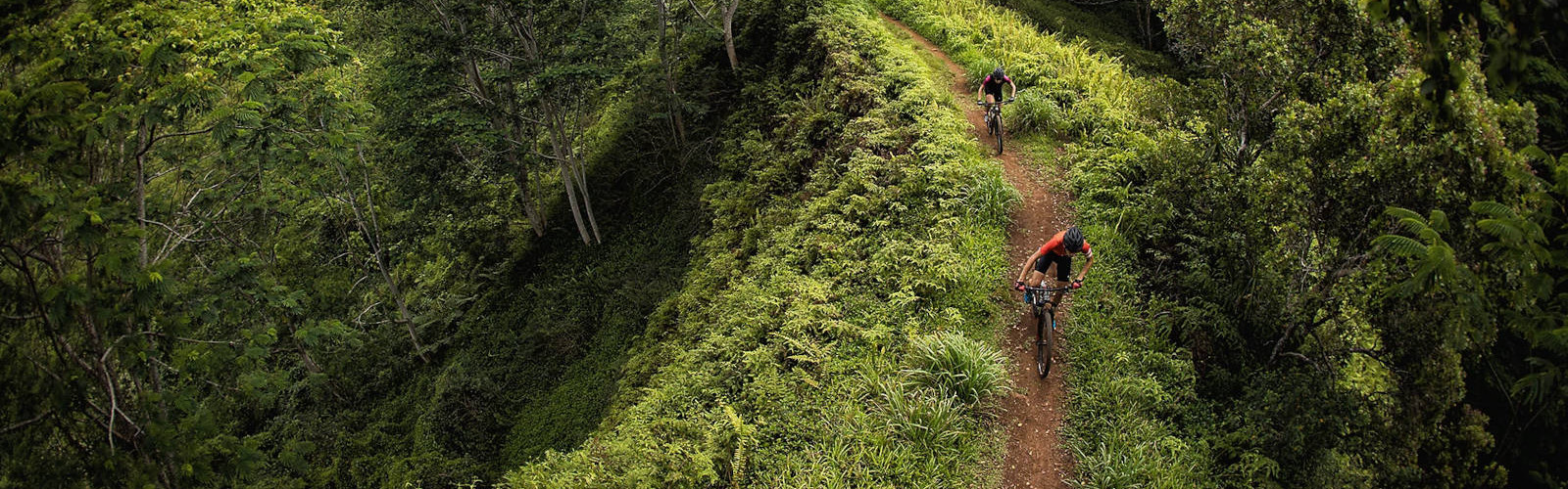 Mountain Bikes